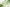 其實 Clean Beauty 界都有 NMN？解密綠蠶絲如何以「18種原生氨基酸」喚醒肌膚年輕密碼